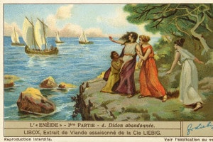 dido 6