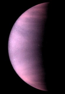 venere
