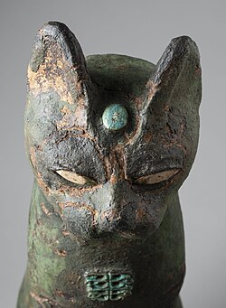 gatto 5