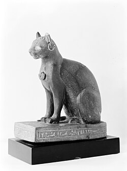 gatto 2