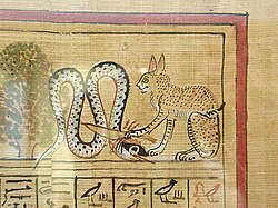 gatto 4